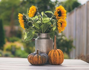 Sunflower_bouquet_with_thanksgiving_pumpkins